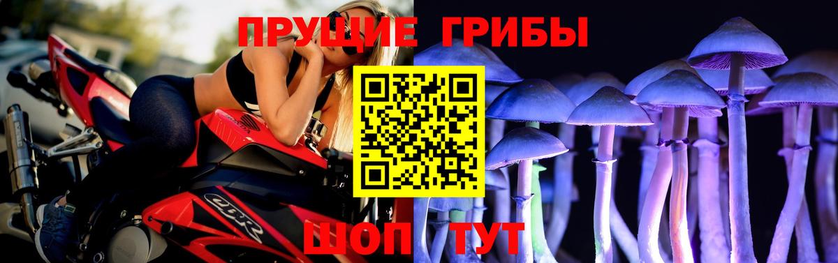 Каменка  Галлюциногенные грибы Magic Shrooms  Вход с VPN 